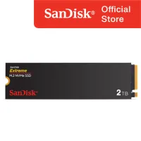 Sandisk SSD Internal