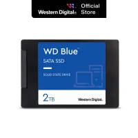 Wd Blue SSD
