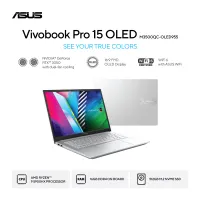 Asus Vivobook Pro
