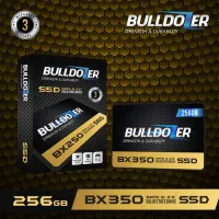SSD Bulldozer 256GB