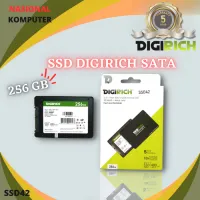 SSD Digirich 256GB