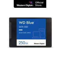 Wd Blue SSD