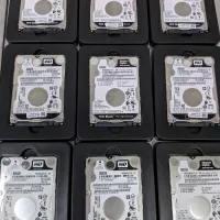 Hardisk Internal Wd