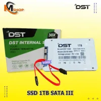 SSD 1TB Sata