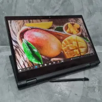 Second Lenovo Thinkpad