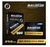 SSD Bulldozer 256GB