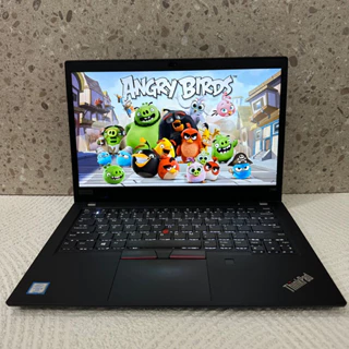 Lenovo Thinkpad T495