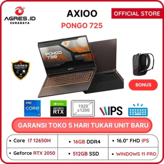 Axioo Pongo 725
