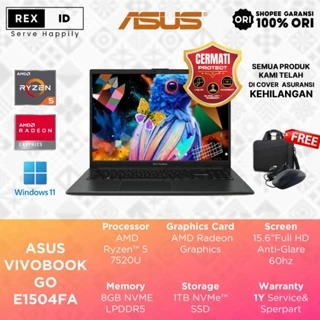 Asus Vivobook Go