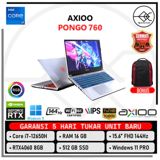 Axioo Pongo 760