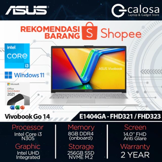 Asus Vivobook Go