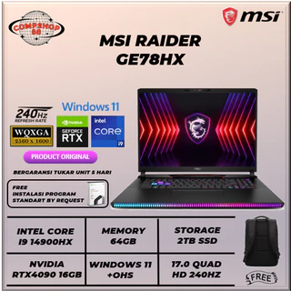 Gaming MSI Raider