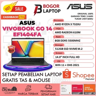 Asus Vivobook Go