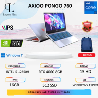 Axioo Pongo 760