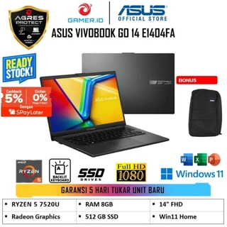 Asus Vivobook Go