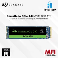 Seagate Barracuda 4.0