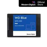 Wd SSD Blue