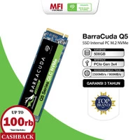 Seagate Barracuda Q5