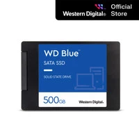 Wd SSD Blue