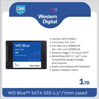 SSD Wd Blue