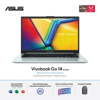 Asus Vivobook Go