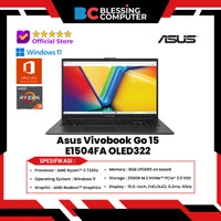Asus Vivobook Go