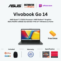 Asus Vivobook Go