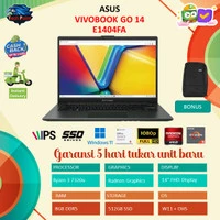 Asus Vivobook Go