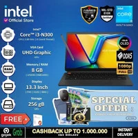 Asus Vivobook 13