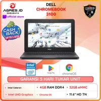 Dell Chromebook 3100