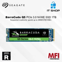 Seagate Barracuda Q5