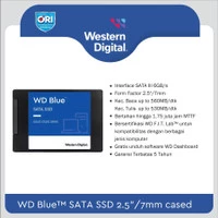 SSD Wd Blue