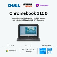 Dell Chromebook 3100
